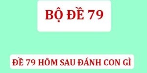 de-ve-79-hom-sau-danh-con-gi