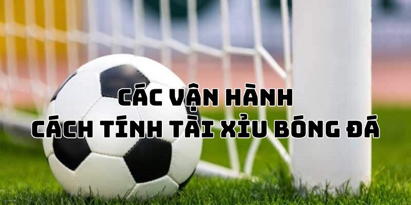 cach-van-hanh-cach-tinh-tai-xiu-bong-da