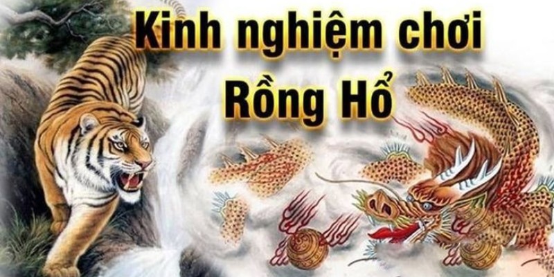 rong-ho-kinh-nghiem