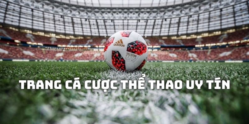 trang-ca-cuoc-the-thao-uy-tin-tumb